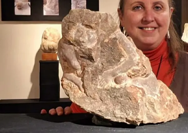 Eva Bladé Sediments