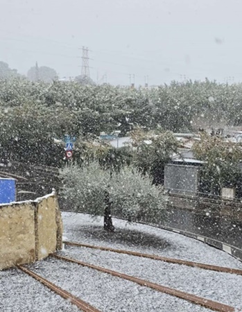 neu a Castellvell Reis 2026