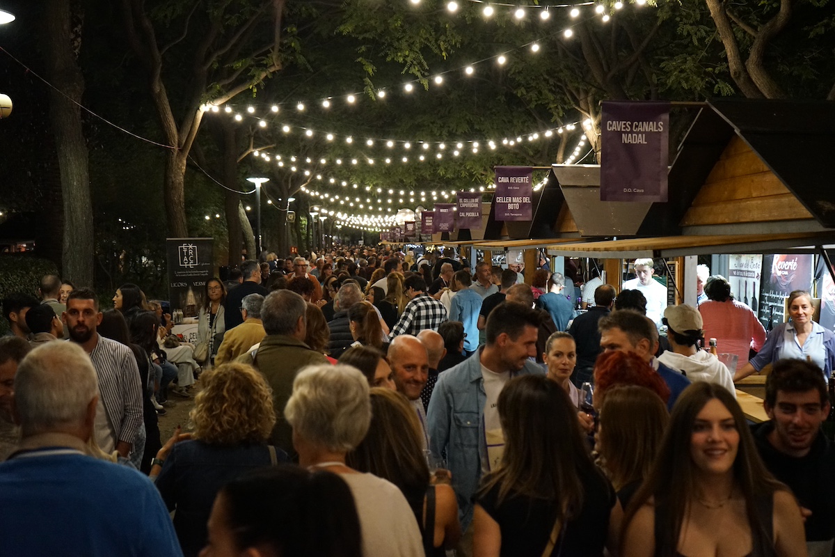 festival del vi recurs públic