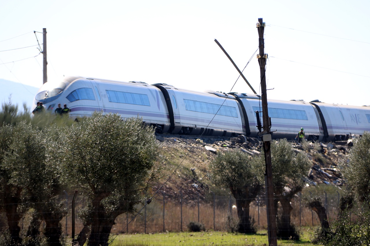 ave accidentat a toledo