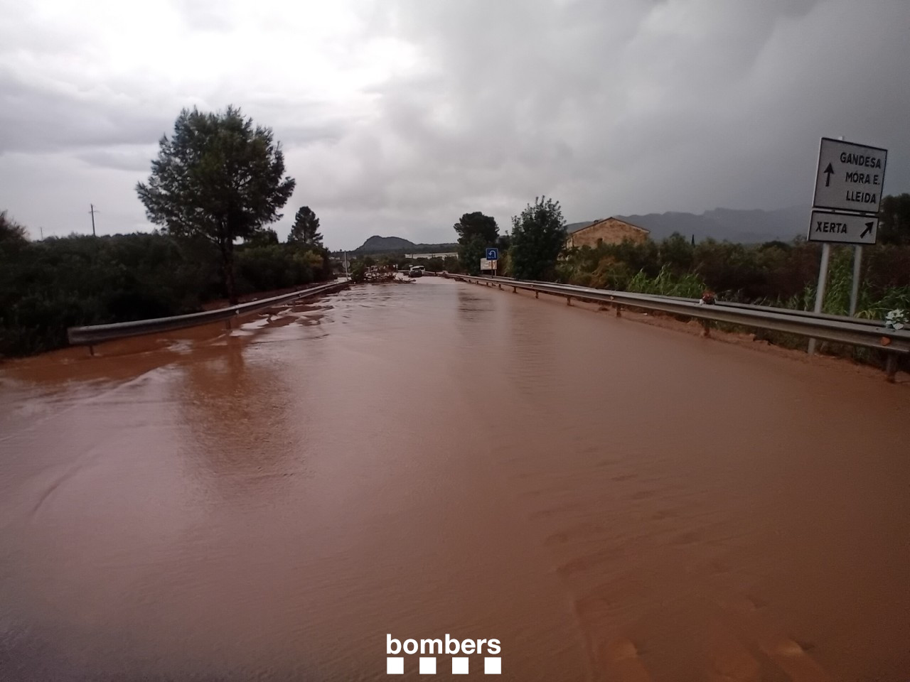 c12 xerta inundada