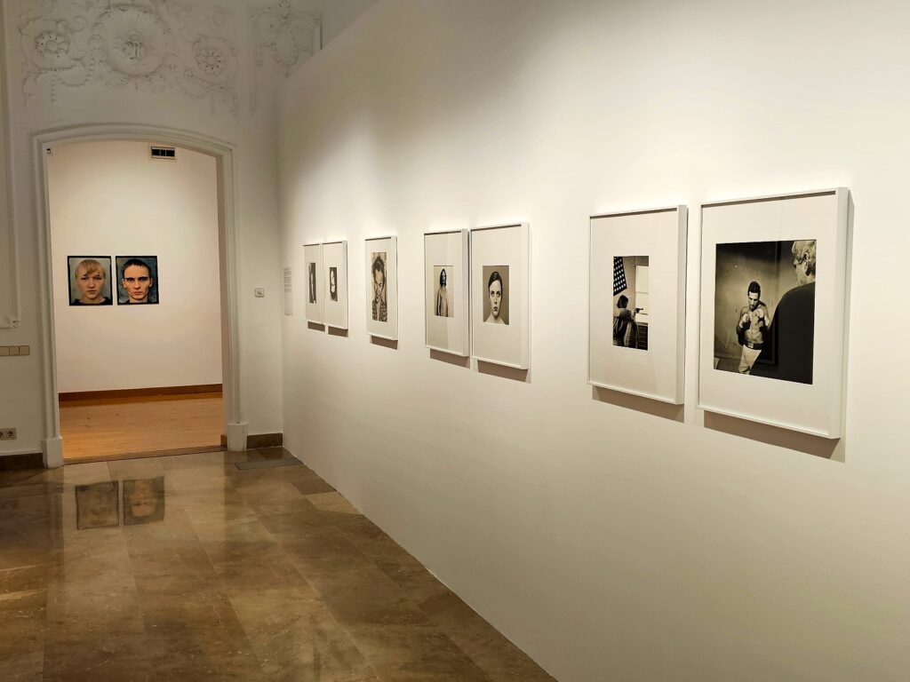 expo coleccio forvm mamt arreu